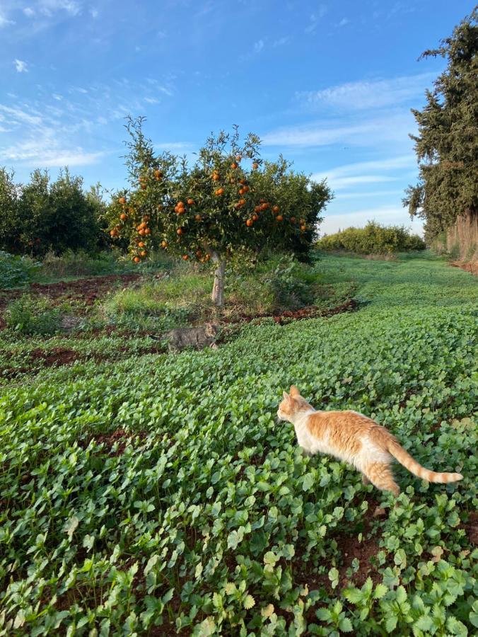 Gite Karima Madagh Esterno foto
